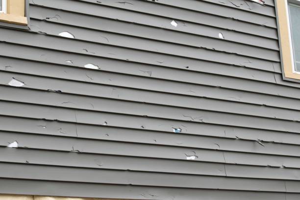 Best Siding Painting and Refinishing  in Whitehouse, TX